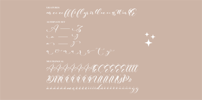 Delysha Font Poster 8