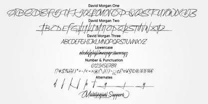 David Morgan Font Poster 12