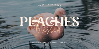 Peaches Blessed Font Poster 10