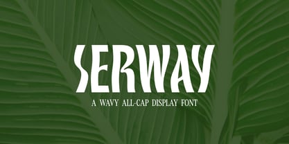 Serway Font Poster 1