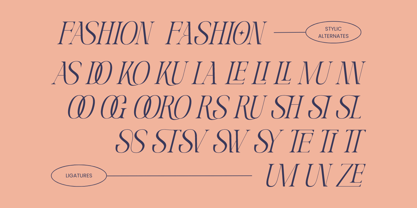 Quirky Fashion Font Poster 7