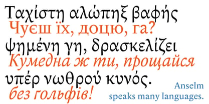 Anselm Serif Font Poster 5