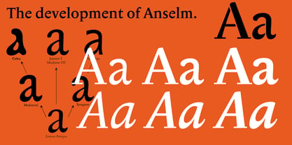Anselm Serif Font Poster 4