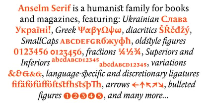 Anselm Serif Font Poster 3