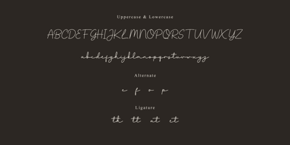 Lesarta Font Poster 6