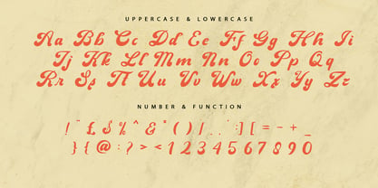 Clasifa Font Poster 8