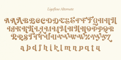 Ligaflow Font Poster 13