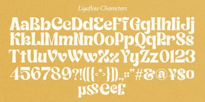 Ligaflow Font Poster 14