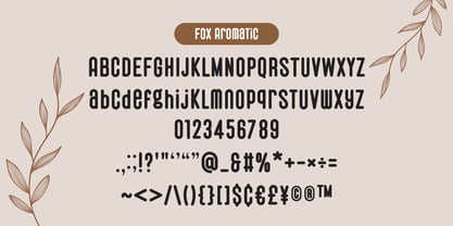 Fox Aromatic Font Poster 7