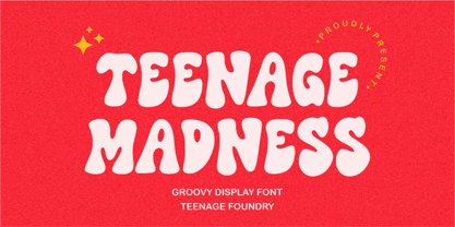 Teenage Madness Font Poster 1