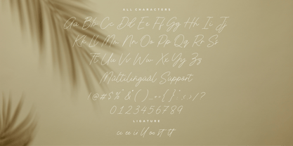 Jemaritta Signature Font Poster 8