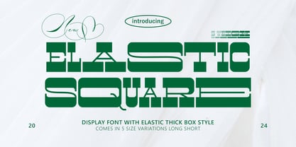 Elastic Square Font Poster 1