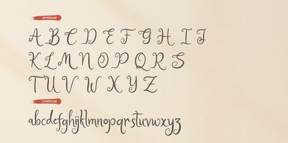 Bellina Seamy Font Poster 10