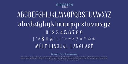 Birgaten Font Poster 10