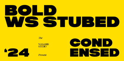 WS Stubed Font Poster 3