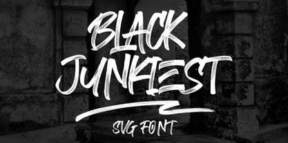 Black Junkiest Font Poster 1