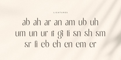 Laerna Font Poster 12