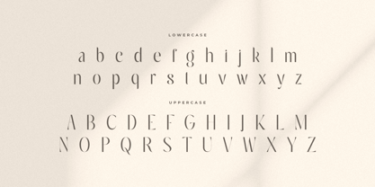 Laerna Font Poster 13