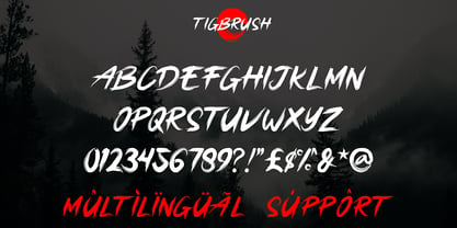 Tigbrush Fuente Póster 2