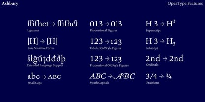 Ashbury Font Poster 15