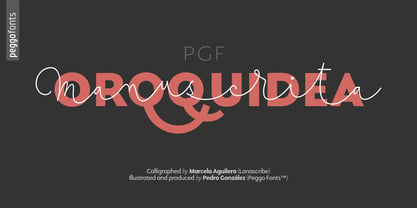 PGF Orqquidea Font Poster 1