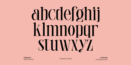 Caorgen Font Poster 10