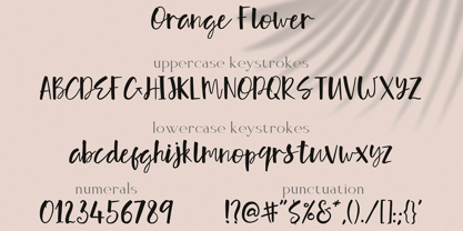 Orange Flower Fuente Póster 5