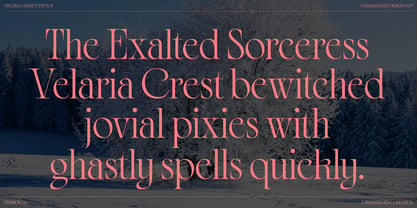 Velaria Crest Font Poster 5