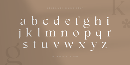 Ginkgo SS Font Poster 14