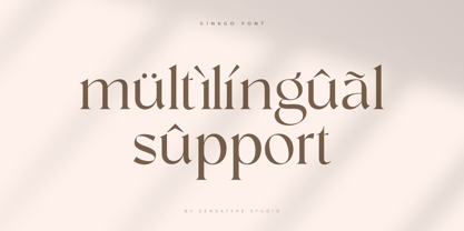 Ginkgo SS Font Poster 15