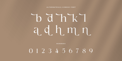 Ginkgo SS Font Poster 7