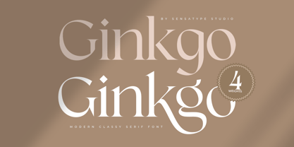 Ginkgo SS Font Poster 1