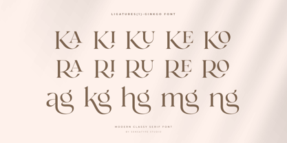 Ginkgo SS Font Poster 10