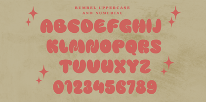 Bumbel Font Poster 11