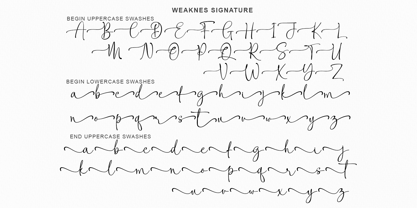 Weaknes Signature Font Poster 10