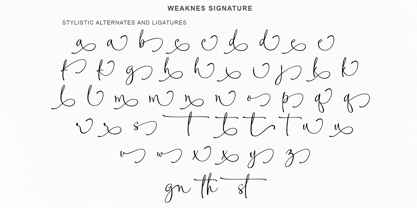 Weaknes Signature Font Poster 11