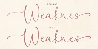 Weaknes Signature Font Poster 13