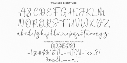 Weaknes Signature Font Poster 9