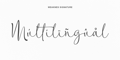 Weaknes Signature Font Poster 12