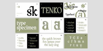 AO Tenko Font Poster 5