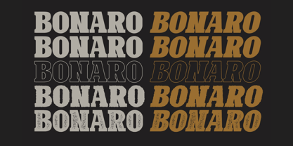 Bonaro Font Poster 5