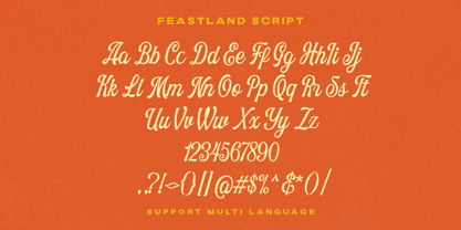 Feastland Font Poster 8