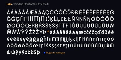 Maglith Grotesk Font Poster 13