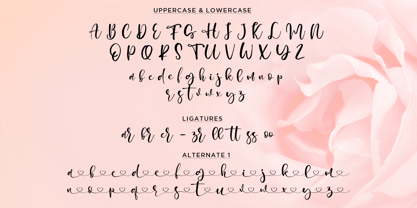 Honey Sharoni Font Poster 6