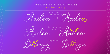 Anilea Script Font Poster 2