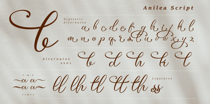 Anilea Script Font Poster 5