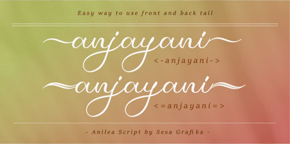 Anilea Script Font Poster 4