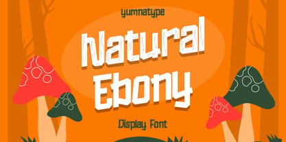 Natural Ebony Font Poster 1