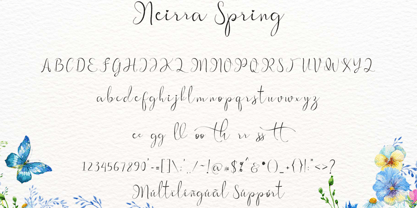 Neirra Spring Font Poster 5