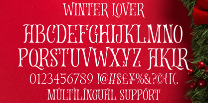 Winter Lover Font Poster 9